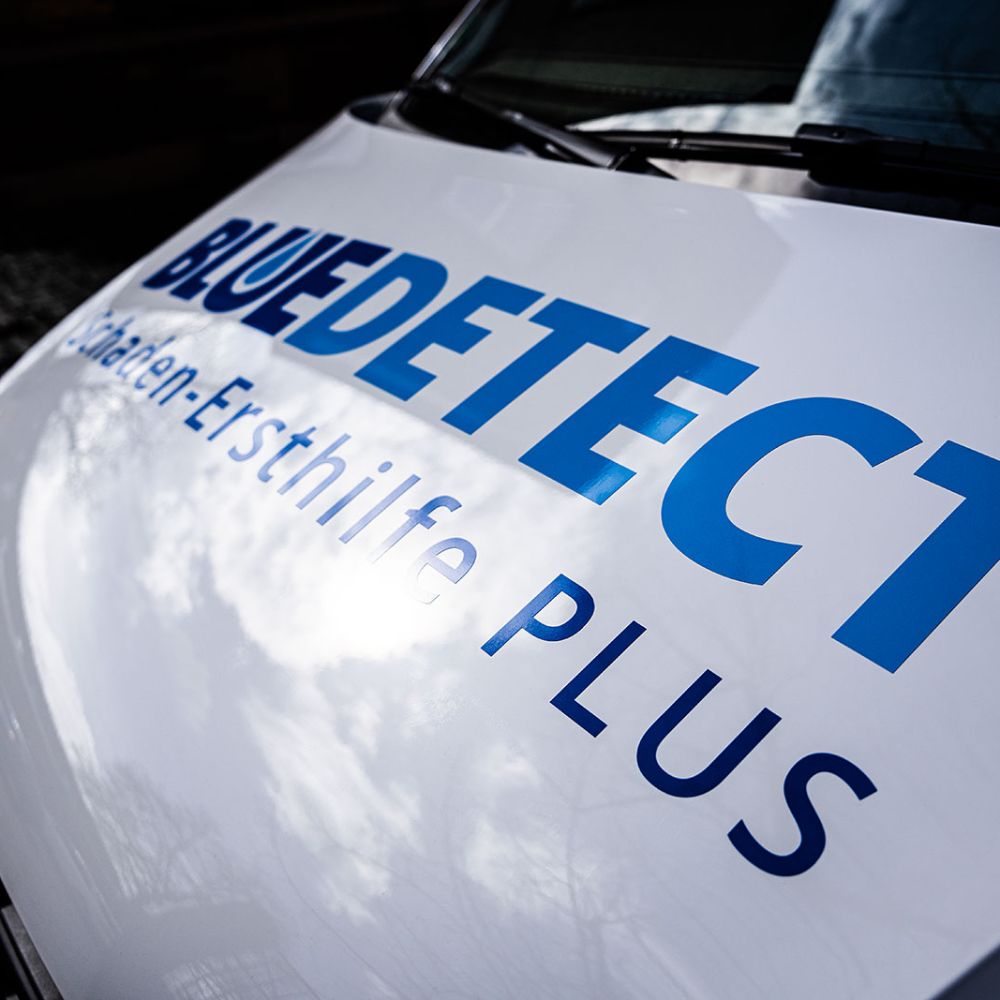 Franchisepartner bei Blue Detect werden | Österreich und Deutschland | Bonn